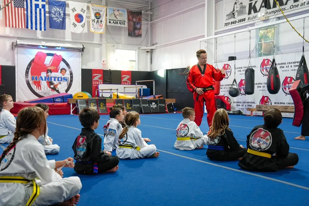 Martial Arts That Shape Strong Minds and Bodies in Tarpon Springs